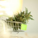 shopping cart with cannabis bud inside- Blazing the Path on Legal Cannabis Sales