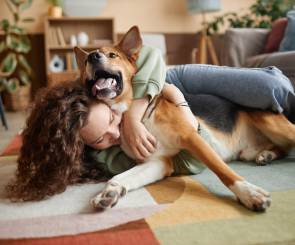 Who Gets the Pets in a Separation?